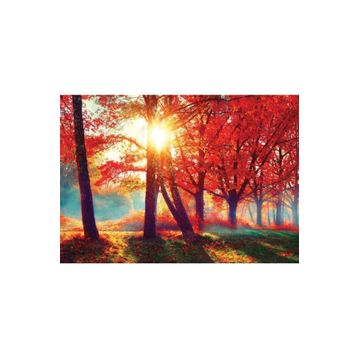 Nova 1000 Parça Sonbahar Kırmızısı Puzzle