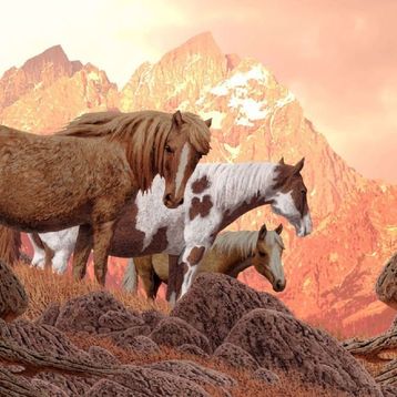 Nova 1000 Parça Vahşi Atlar Puzzle