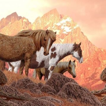 Nova 1000 Parça Vahşi Atlar Puzzle