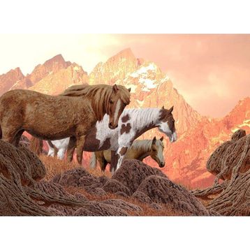 Nova 1000 Parça Vahşi Atlar Puzzle