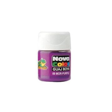 Nova NC-111 Mor Şişe Guaj Boya