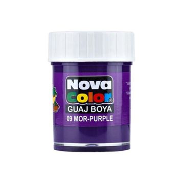 Nova NC-111 Mor Şişe Guaj Boya