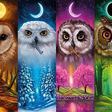 Nova Puzzle 1000 Parça Dört Mevsim Baykuşlar