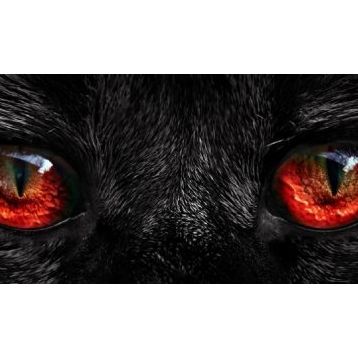 Nova Puzzle 1000 Parça Keskin Bakışlar Panorama Puzzle