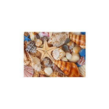 Nova Puzzle 1000 Parça Kumsaldan Bana Kalanlar