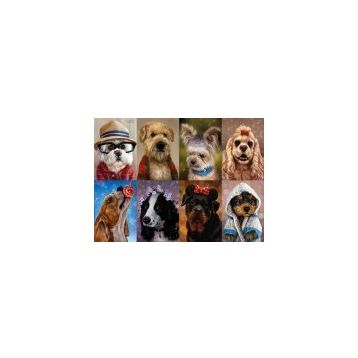 Nova Puzzle 1000 Parça Puzzle - Sevimli Köpek Yavruları