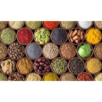 Nova Puzzle 1000 Parça Renkli Baharat Kolajı Panorama Puzzle