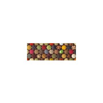 Nova Puzzle 1000 Parça Renkli Baharat Kolajı Panorama Puzzle
