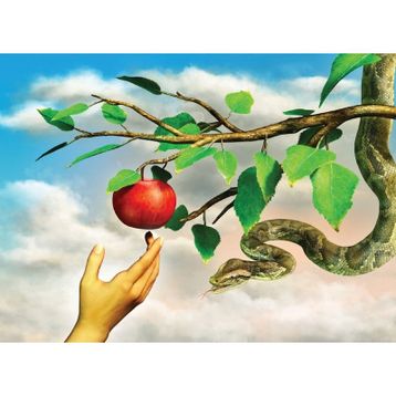 Nova Puzzle 1000 Parça Yasak Elma Puzzle