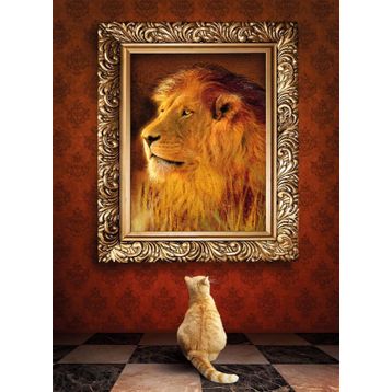 Nova Puzzle 1000 Parçalık Puzzle - Hayranlık