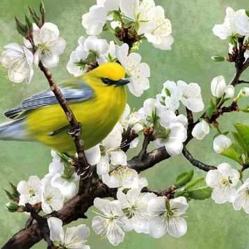 Nova Puzzle Baharın Habercisi 1000 Parça Puzzle