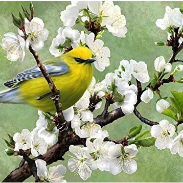 Nova Puzzle Baharın Habercisi 1000 Parça Puzzle