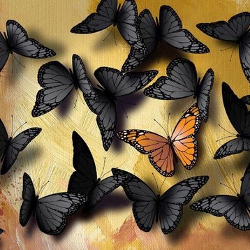 Nova Puzzle Benzersiz Olmak 1000 Parça Puzzle