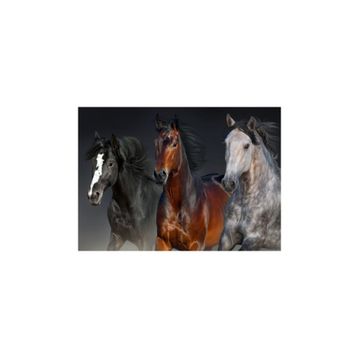Nova Puzzle Üç Asil Yürek 1000 Parça Puzzle