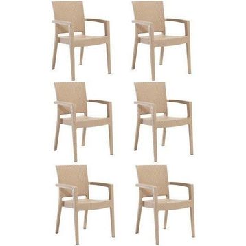 Novussi 6 Adet Cappuciono Paris Rattan Kollu Sandalye Koltuk