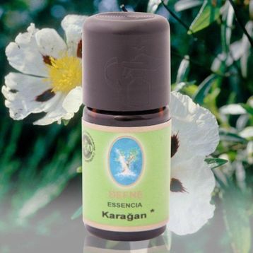 Nuka 5 ml Filiz Yaprak Damıtma Organik Karağan Uçucu Yağ