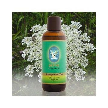 Nuka Soğuk Pres 30 ml Havuç Tohum Yağı