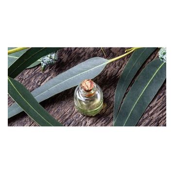 Nursima 20 ml Okaliptus Yağı