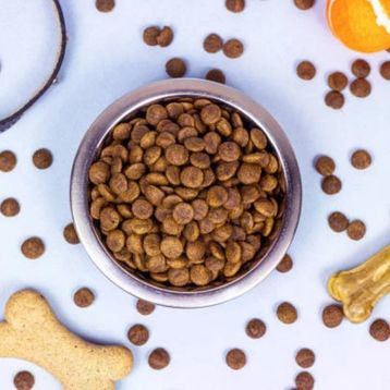 Nutri Feline Urinary Böbrek Sağlığı Destekleyici Somonlu 2 kg Yetişkin Açık Kedi Maması