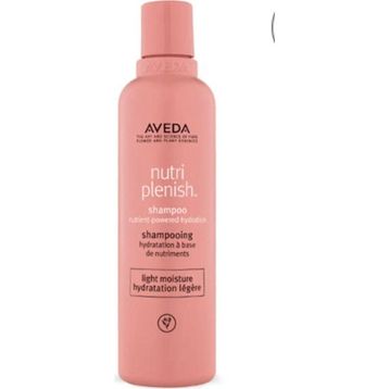 Nutriplenish Light Mouisture 250 ml Şampuan