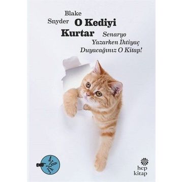 O Kediyi Kurtar - Blake Snyder