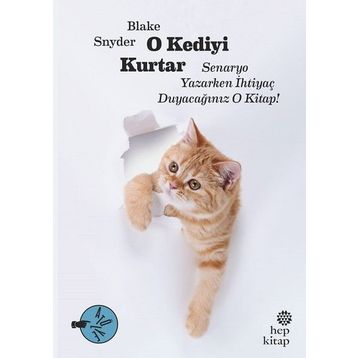 O Kediyi Kurtar - Blake Snyder