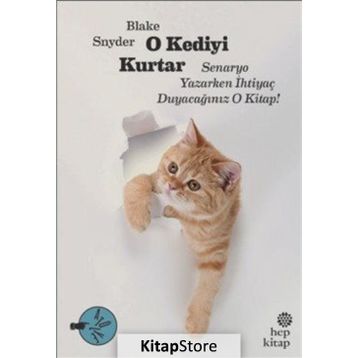 O Kediyi Kurtar - Blake Snyder