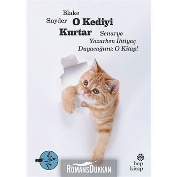 O Kediyi Kurtar - Blake Snyder