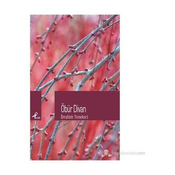 ÖBÜR DIVAN - İBRAHIM TENEKECI