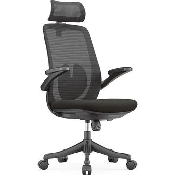 Ofisbazaar Sakura Ergonomik Fileli Siyah Çalışma Koltuğu