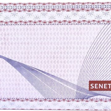 Ofisostim Dolar 50 Yaprak Senet Karnesi