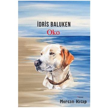 Oko - İdris Baluken
