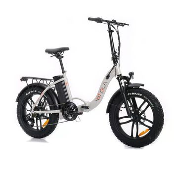 Ola Electrofold EFB4 250 W Katlanabilir İpeksi Gri Elektrikli Bisiklet