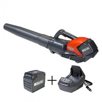 Oleomac 2.5 Ah+Şarj Cihazı Bvi 60 Akülü Yaprak Üfleme Makinesi