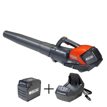 Oleomac 2.5 Ah+Şarj Cihazı Bvi 60 Akülü Yaprak Üfleme Makinesi