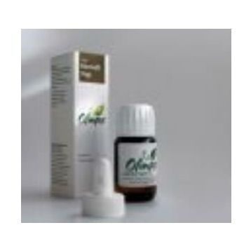 Olimpos 20 ml Karanfil Yağı
