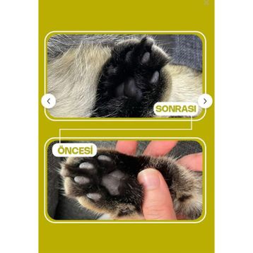 Oliva Cat Zeytin Çekirdeğinden Üretilen Doğal Tozsuz 7 L 3 Adet Kedi Kumu