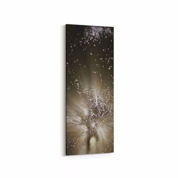 Olla 10366DI Abstract Görsel Dikey İnce 30x90 cm Kanvas Tablo