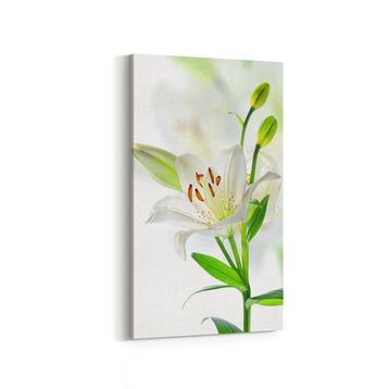 Olla 10974DD Ağaç Görseli Dikey Dar 30x60 cm Kanvas Tablo