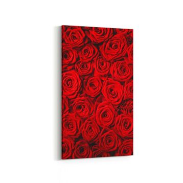 Olla 11559DD Çiçek Görseli Dikey Dar 30x60 cm Kanvas Tablo