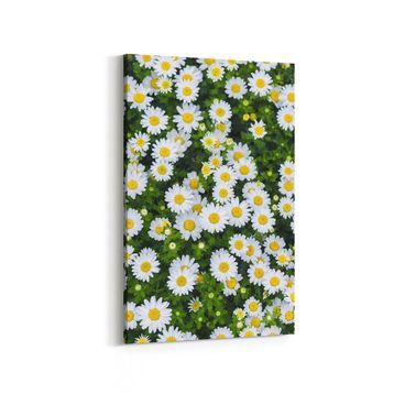 Olla 11568D Çiçek Görseli Dikey 20x30 cm Kanvas Tablo