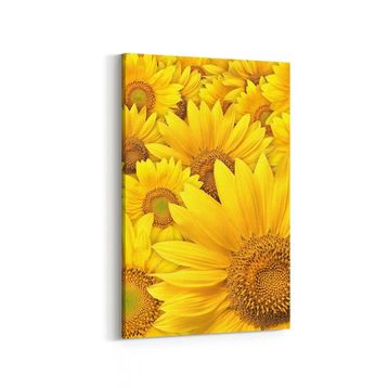 Olla 11579D Çiçek Görseli Dikey 20x30 cm Kanvas Tablo