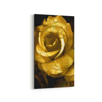 Olla 11593DD Çiçek Görseli Dikey Dar 30x60 cm Kanvas Tablo
