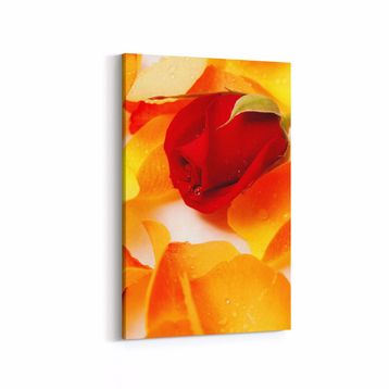 Olla 11616D Çiçek Görseli Dikey 20x30 cm Kanvas Tablo