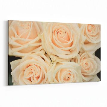 Olla 11619Y Çiçek Görseli Yatay 30x20 cm Kanvas Tablo