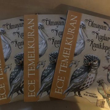Olmayan Kuşlar Ansiklopedisi - Ece Temelkuran