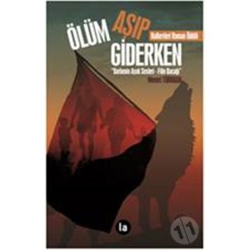 Ölüm Aşıp Giderken - Memet Türkkan