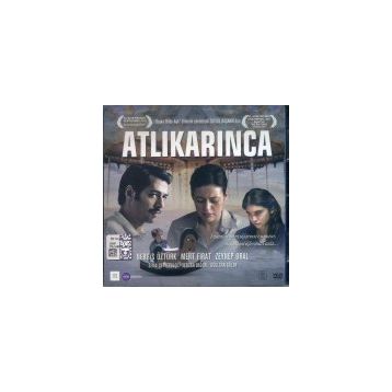 On Numara Hediye Atlı Karınca