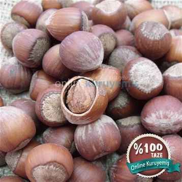 Online Kuruyemiş 1 kg Kavrulmuş Tuzlu Kabuklu Foşa Fındık