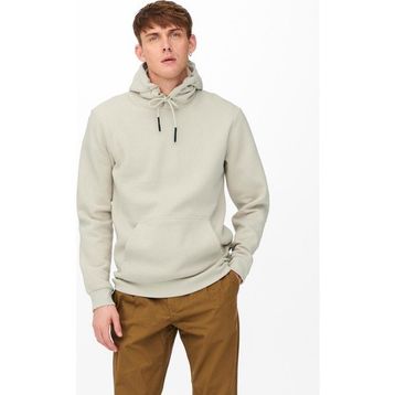 Only & Sons 22018685-06 Bej Erkek Sweatshirt